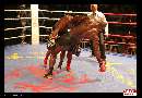 Photo albulle/datas/photos/1_Manifestations/Martigny_Fight_Night_2013/kick_boxing_2013-8-.jpg